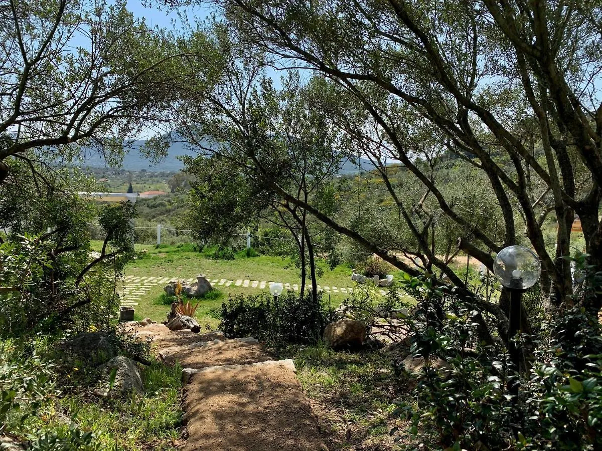 La Casa Di Alice Smeralda Olbia Italy
